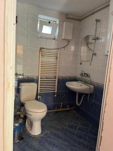 a bathroom with a toilet and a sink at Country House БатЖоро in Zelenikovo +24 photos