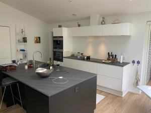 Nhà bếp/bếp nhỏ tại Cozy Holiday Home Near Coast And Nature +9 ảnh