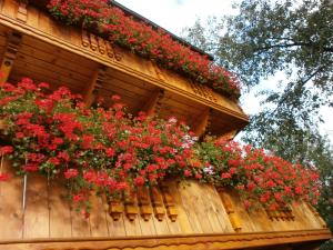 Banda czerwonych kwiatów na boku budynku w obiekcie Penzión Stefanshof w mieście Kremnica