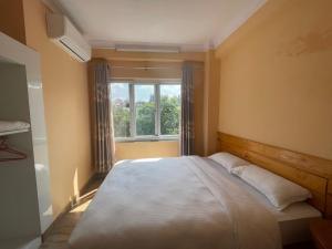 a bedroom with a large bed and a window at Bibek B&B in Kathmandu