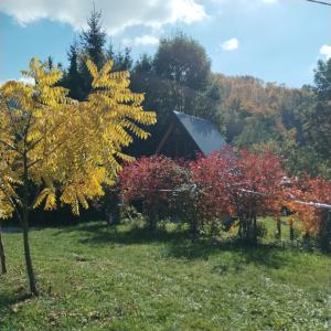 a house in the middle of a field with trees at Brvnara Iva in Kolašin