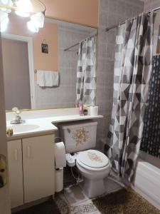 Enjoy Life in Heart of North Delta في دلتا: حمام مع مرحاض ومغسلة ودش