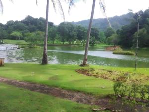 a golf course with palm trees and a lake at Thongphaphum Place in Thong Pha Phum
