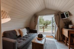 シュルーズベリーにあるSecluded Cosy Luxury Pod with wood fired hot tubのソファとテレビのあるリビングルーム