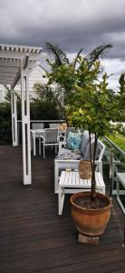 a potted tree in a pot sitting on a deck at Palms Manor on Kingswood Golf Estate in George +42 photos