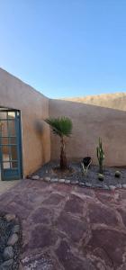 Fotografie z fotogalerie ubytování MUMA Lodge v Marrákéši