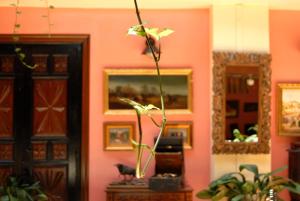 Fotografie z fotogalerie ubytování Hotel Pinomar v destinaci El Puerto de Santa María