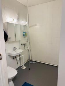 a bathroom with a toilet and a sink at Cozy apartment in Rovaniemi! in Rovaniemi