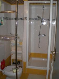 ルッツマンスブルクにあるApartment Karinのバスルーム(シャワー、トイレ付)