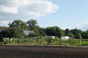 a field of crops with a farm in the background at Radawnica pl - Tu odpoczniesz! in Skorka