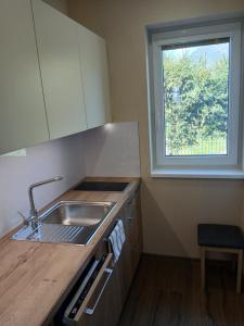 a kitchen with a sink and a window at Apartmány ALTI in Prosiek