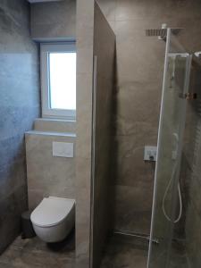 a bathroom with a toilet and a glass shower at Apartmány ALTI in Prosiek