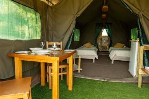 Imagen de la galería de Safari Glamping Portugal Shark, en Ventosa