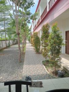 Zahrada ubytování Sisilia Lodge