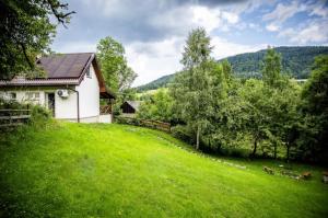 ChyżówkiにあるDomek pod Mogielicąの緑の草原のある丘の上の家