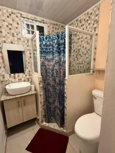 a bathroom with a toilet and a sink and a shower at Cozy Apartment 8 minutes from Downtown David - Private Entrance Garden in Aguacatal