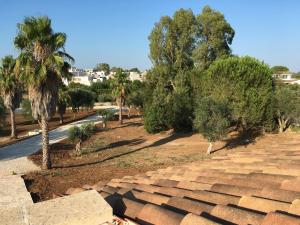 Zahrada ubytování Villa Elia - Tenuta Le Scerze - Salento Homes