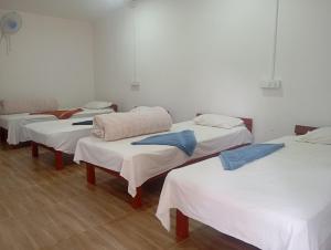 a group of four beds in a room at Chital lodge in Chitwan +117 photos