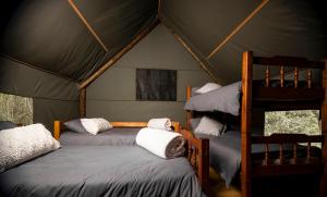 a bedroom with two bunk beds in a tent at Indabushe Eco Lodge in Schoemanskloof