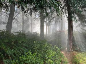 Φυσικό τοπίο κοντά σε αυτή η παραθεριστική κατοικία +3 φωτογραφίες