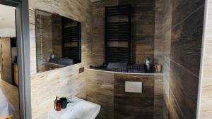 Dvojlůžkový pokoj s vlastní koupelnou في Petrovice: حمام مع حوض ومرآة