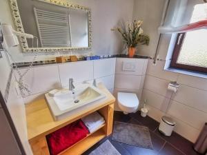 a bathroom with a sink and a toilet at Zur schönen Aussicht in Schotten