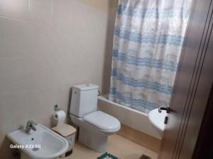 a bathroom with a toilet and a shower curtain at Menidi apartment Β in Menídion +15 photos