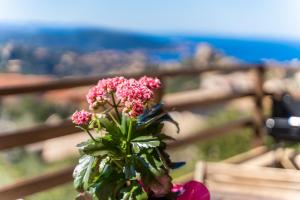 Gallery image of Villetta Panoramica Costa Paradiso in Li Valcaggi
