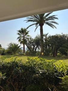 Κήπος έξω από το CANNES La Mirandole