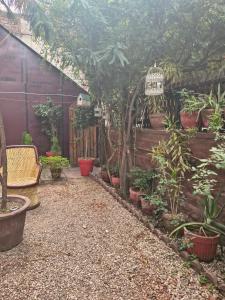 un jardin avec des plantes en pot et un banc dans l'établissement The Rasa by Satvic, à Jodhpur