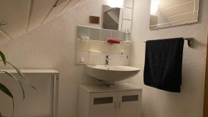 a bathroom with a sink and a mirror at Appartment nahe Galopprennbahn in Iffezheim