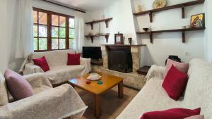 a living room with two couches and a fireplace at Avdira Seaside House in Ávdhira