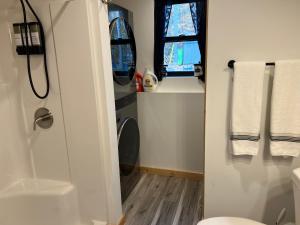 une salle de bain avec douche et toilettes et une fenêtre dans l'établissement Baby Chocorua, à Tamworth 45 autres photos