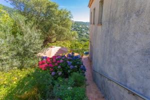 キャヴァレール・シュル・メールにあるVue mer dans les collines Cavalaireの壁の横に花と傘のある庭
