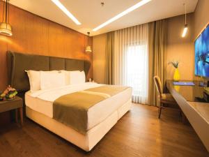 イスタンブールにあるブルーウェイ ホテル ヒストリカルの大型ベッドとテレビが備わるホテルルームです。
