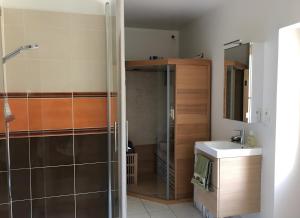 a bathroom with a shower and a sink and a mirror at Chambres Au Calme, À La Campagne in Durtal +15 photos