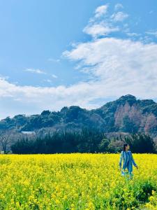 Příroda nedaleko vily