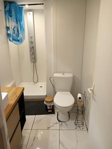 a white bathroom with a toilet and a shower at Petite maison dans centre ville in Saumur +2 photos