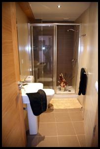 a bathroom with a shower and a sink and a toilet at Apartamentos Casa de La Inmaculada in Santiago de Compostela