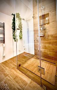 a shower with a glass door in a bathroom at Tiszaparti Meseház in Tiszalök