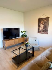 a living room with a couch and a tv at New modern apartment in Sandefjord