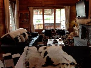 TV a/nebo společenská místnost v ubytování Alouette