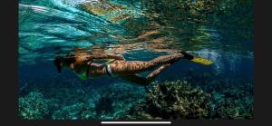 a person swimming in the water with a frisbee at Aqua Aura Pereybere in Grand Baie