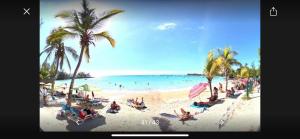 a group of people on a beach with palm trees at Aqua Aura Pereybere in Grand Baie