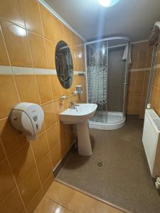 Ένα μπάνιο στο Pensiunea Tarancuta Radauti