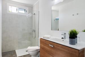 een badkamer met een wastafel, een toilet en een douche bij Estudio Dannamar in Puerto del Carmen
