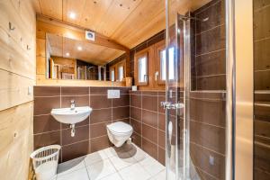 a bathroom with a toilet and a sink and a shower at Chalet Nid Zut in Châtel +19 photos