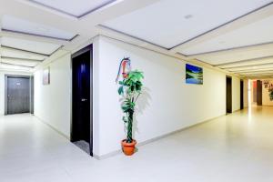 a hallway with a potted plant on a wall at Hotel O Skyland in Ahmedabad