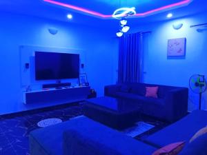 TV a/nebo společenská místnost v ubytování Metropolitan Manor Apartments