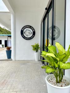 Fotografie z fotogalerie ubytování Buddha View Hostel v Ko Tao